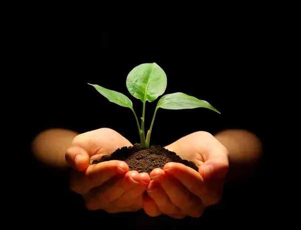 Portada manos con plantas 