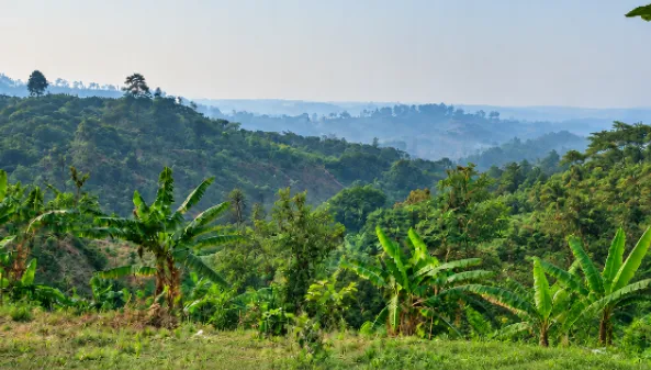 Tierra y territorio 