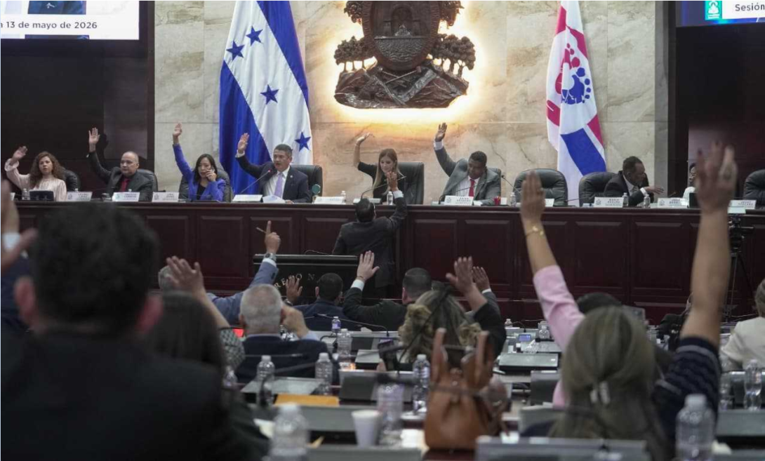 OACNUDH insta a la elección de funcionarios con idoneidad
