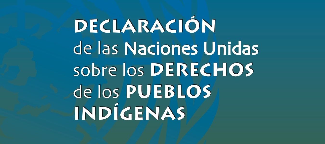 Declaración de las Naciones Unidas sobre los derechos de los pueblos indígenas OACNUDH