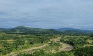 Assasinación de la Condena de la ONU del Defensor Ambiental Hondureño