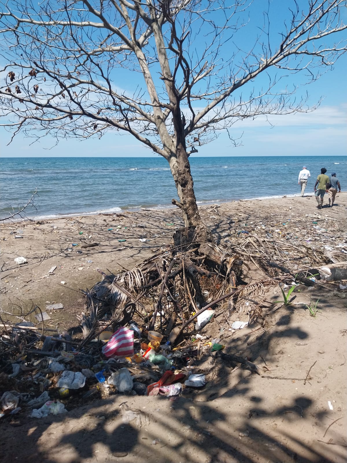 25 De Septiembre De 2023 Oacnudh Y Relator Onu Cambio Climático Visitaron Las Comunidades 8296